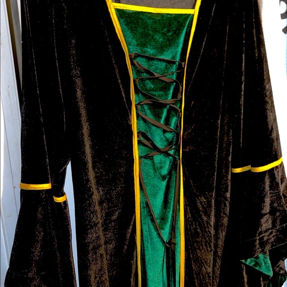 PRINCESS FIONA (2x) (movie Shrek) Curvy FABULOUS HALLOWEEN WON CONTEST COSTUME‼️ - Picture 7 of 12